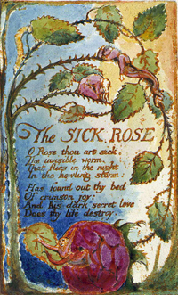 Facsimile of William Blake's The Sick Rose